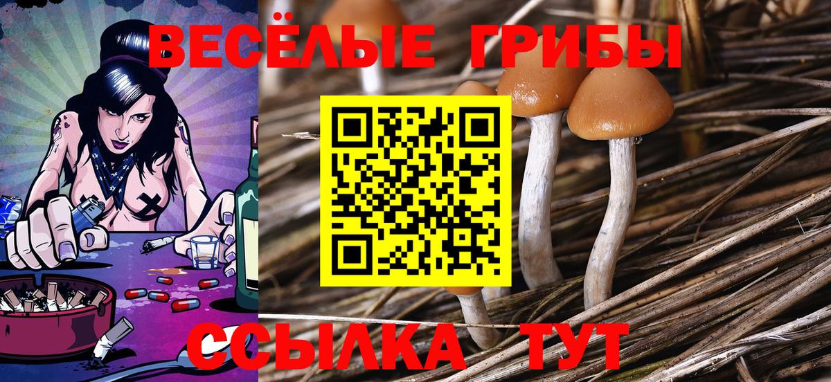 Псилоцибиновые грибы мухоморы  Вход с VPN  Ржев 